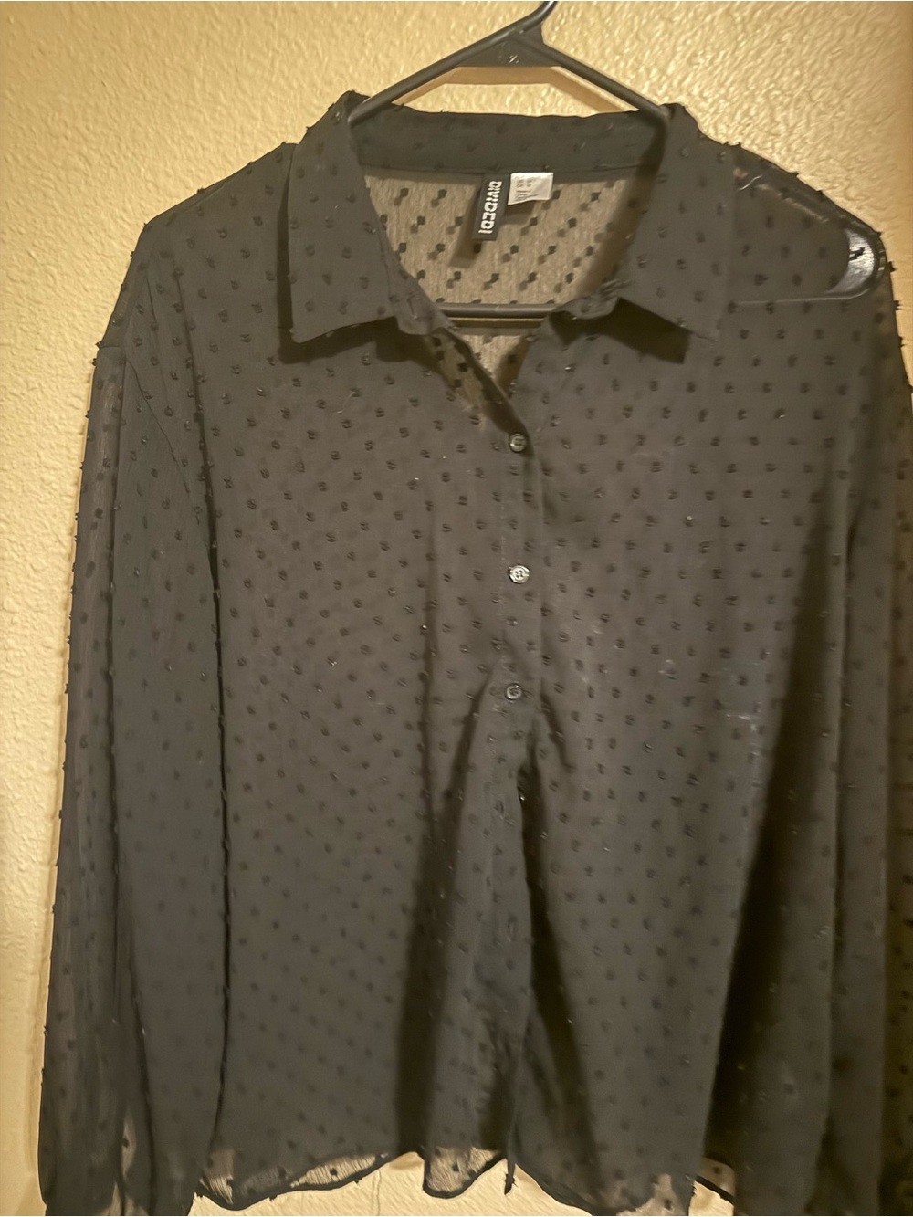 H&M Black Sheer Swiss Dot Button-Up Blouse